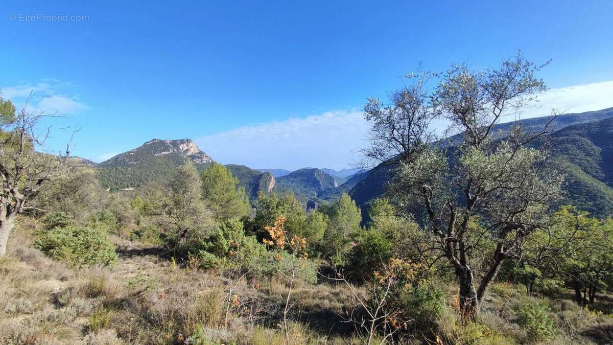 Terrain à PIERREFEU