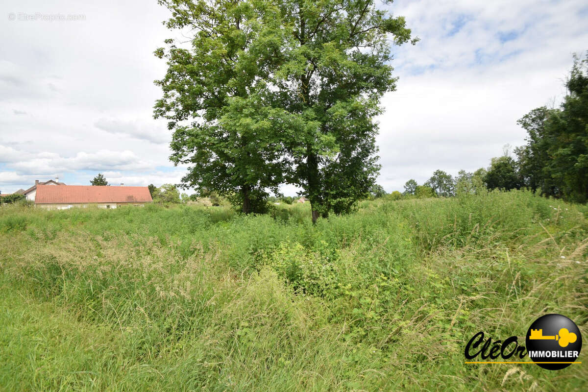 Terrain à BRAZEY-EN-PLAINE