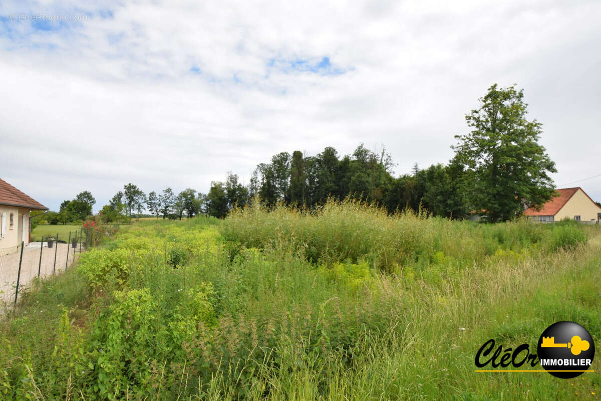 Terrain à BRAZEY-EN-PLAINE