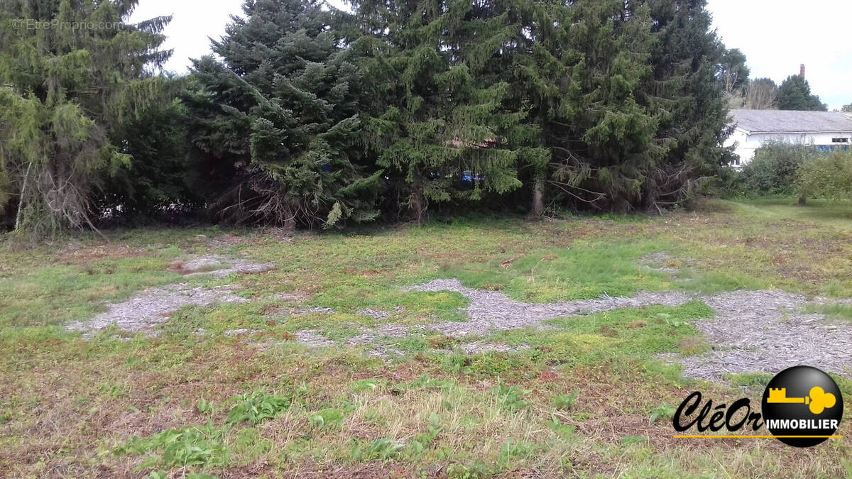 Terrain à POUILLY-SUR-SAONE