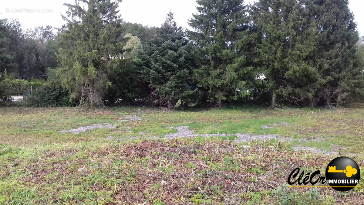 Terrain à POUILLY-SUR-SAONE