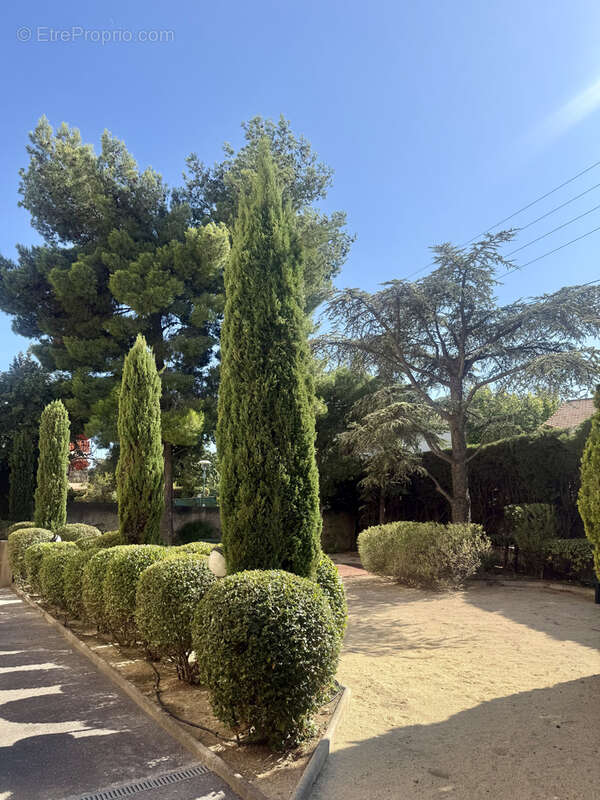 Appartement à MARSEILLE-9E