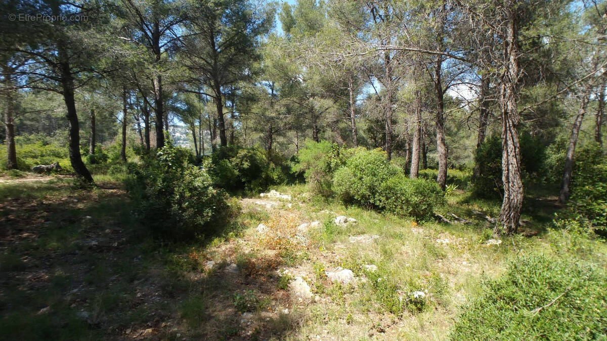 Terrain à OLLIOULES