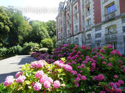 dieppe appartement dans un immeuble de caractère - Appartement à DIEPPE