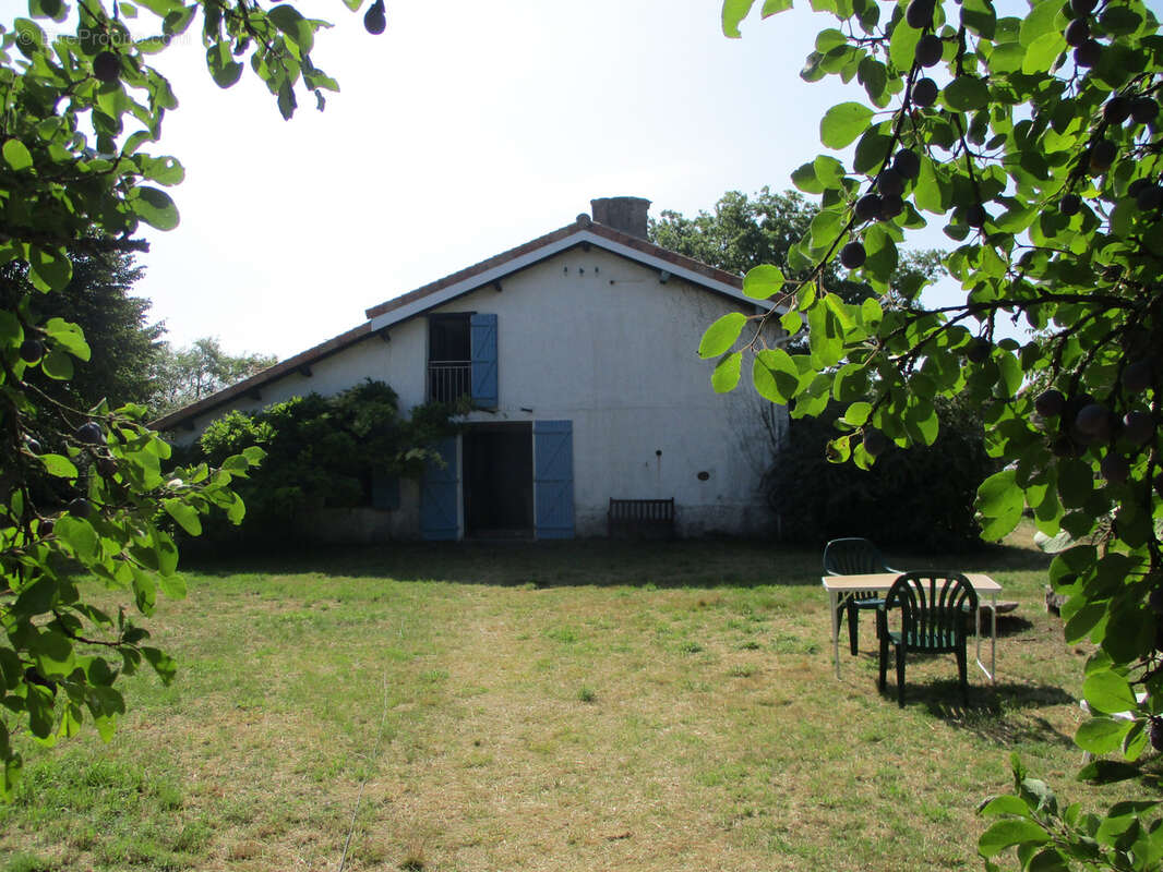 Maison à MESSE