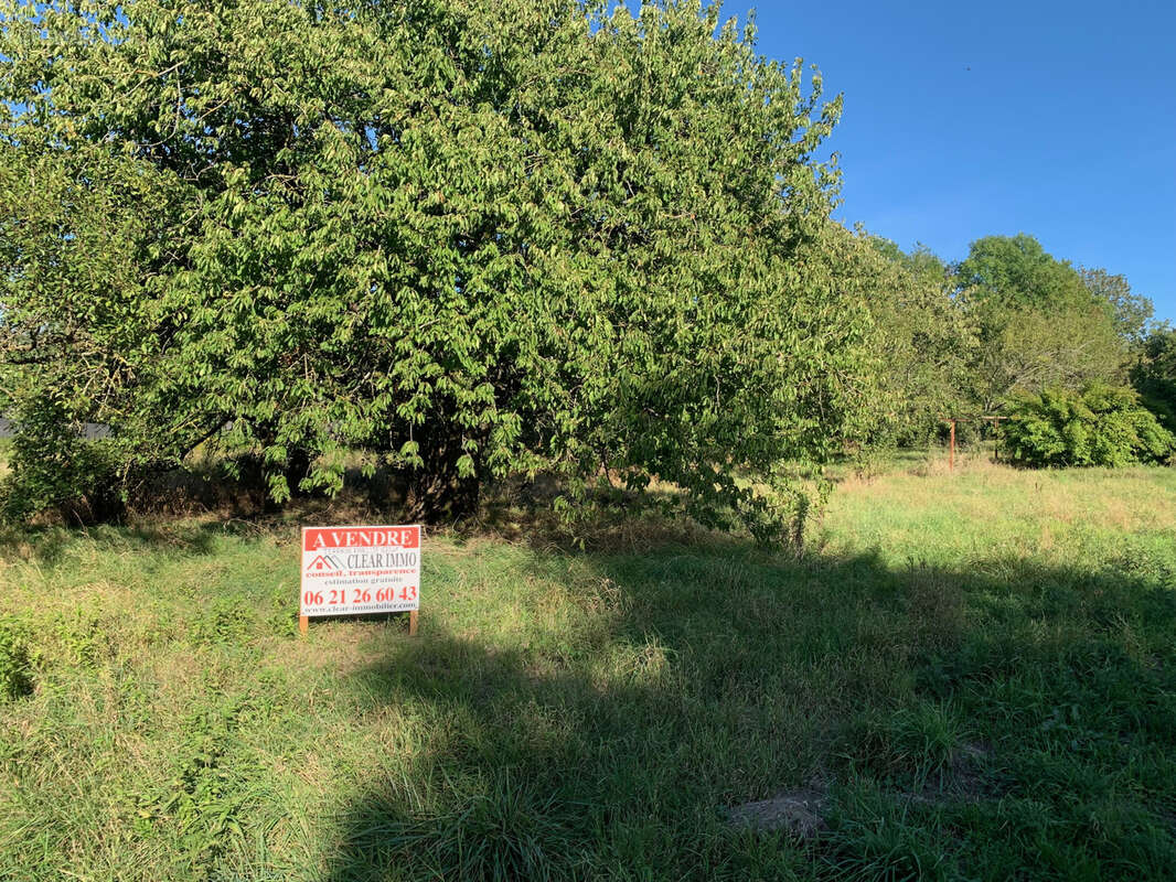 Terrain à FERRIERES