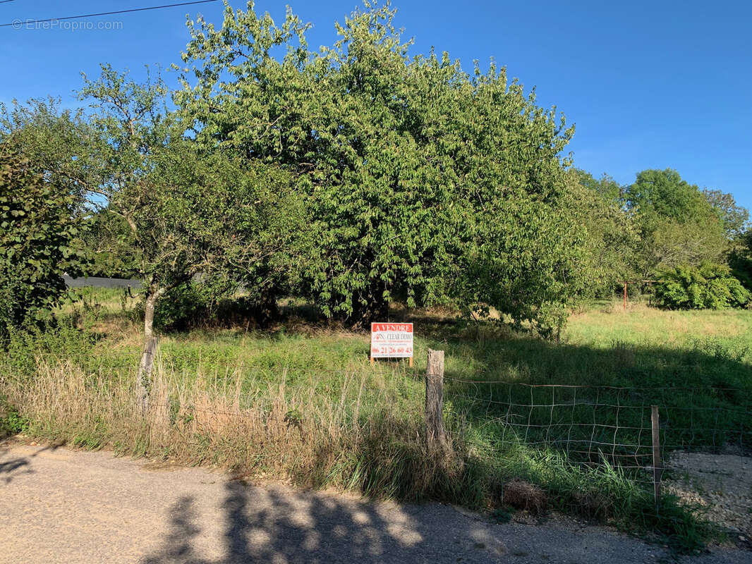 Terrain à FERRIERES
