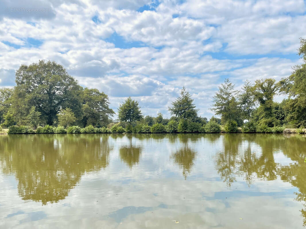 Terrain à SAINT-JUNIEN