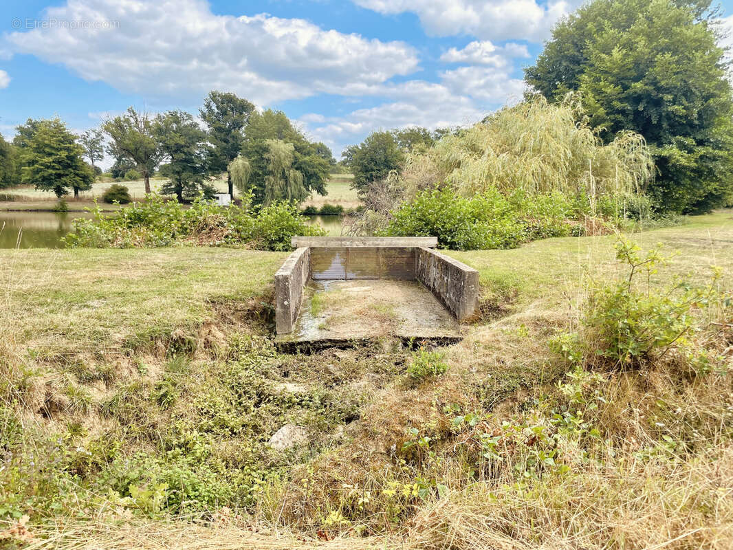 Terrain à SAINT-JUNIEN