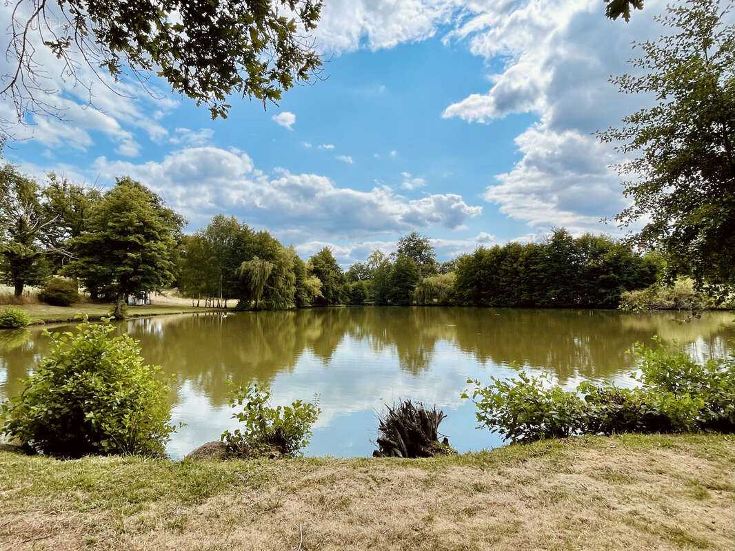 Terrain à SAINT-JUNIEN