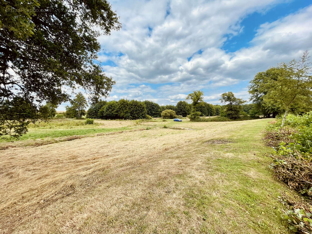 Terrain à SAINT-JUNIEN