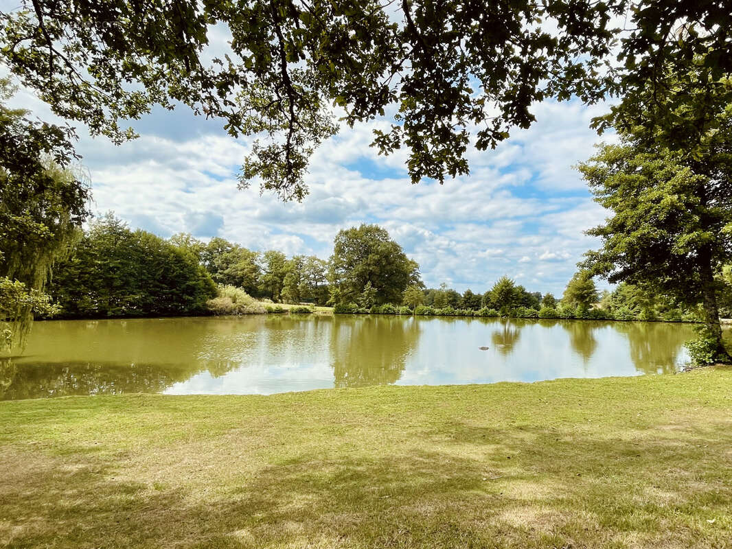 Terrain à SAINT-JUNIEN