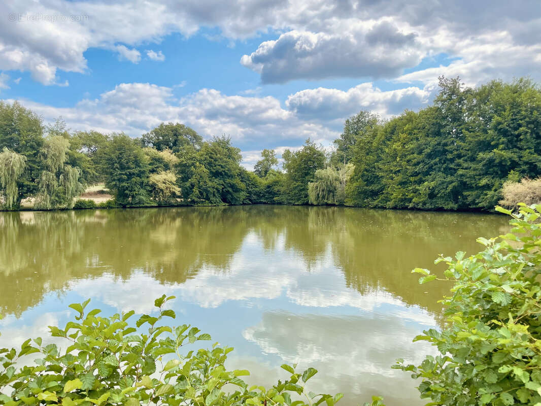 Terrain à SAINT-JUNIEN