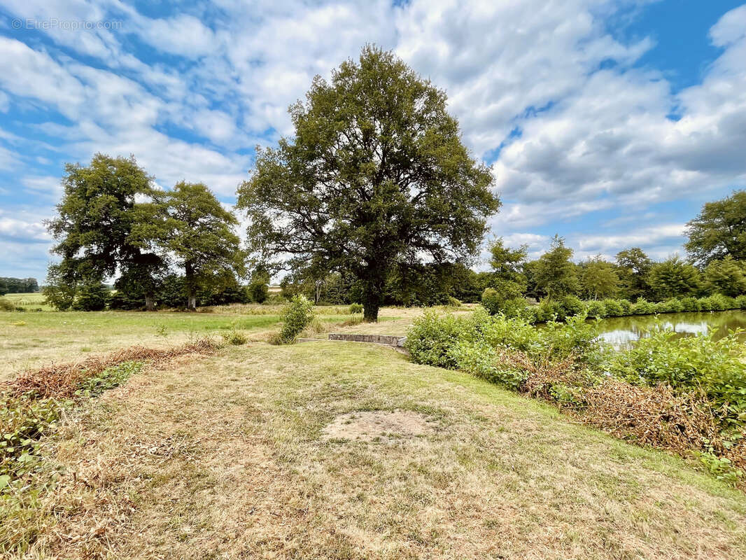 Terrain à SAINT-JUNIEN