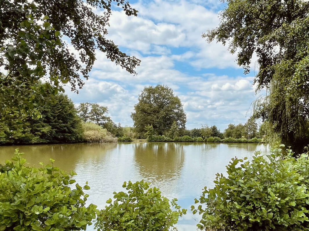 Terrain à SAINT-JUNIEN