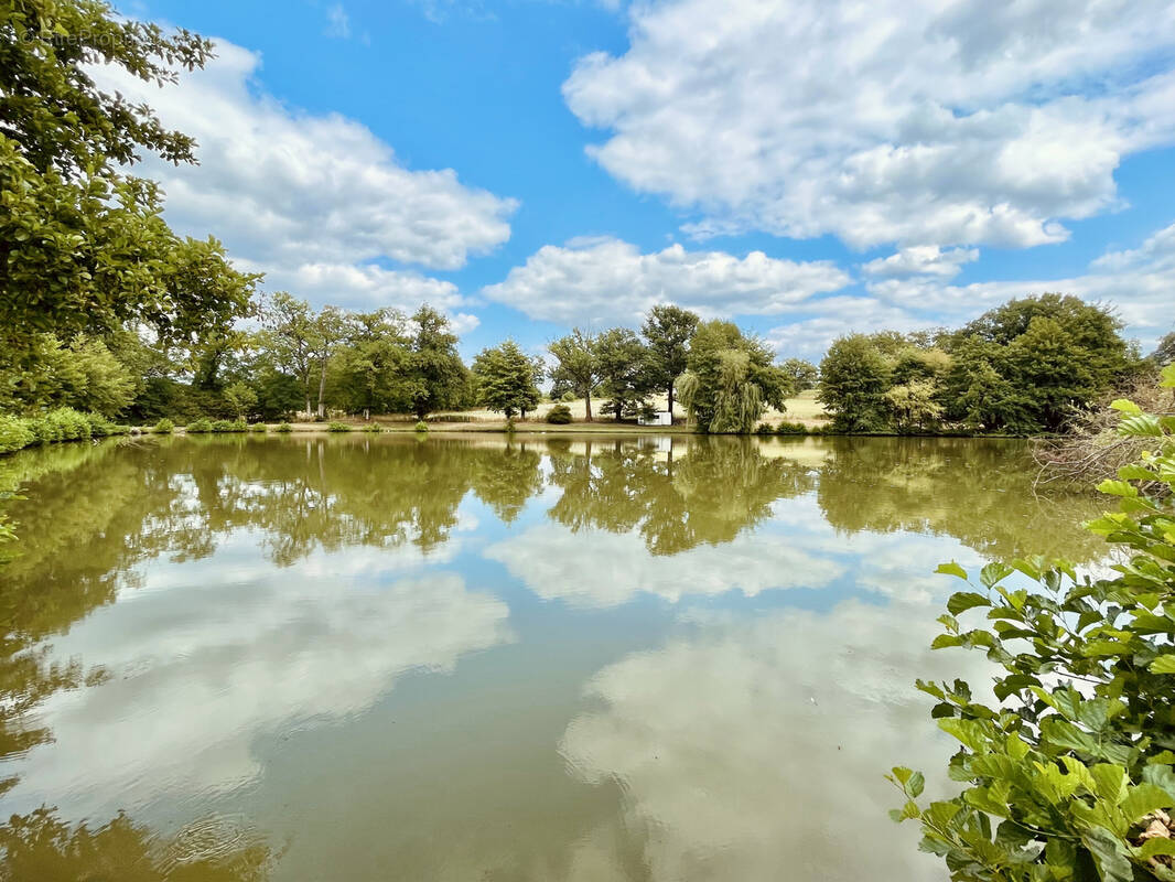 Terrain à SAINT-JUNIEN