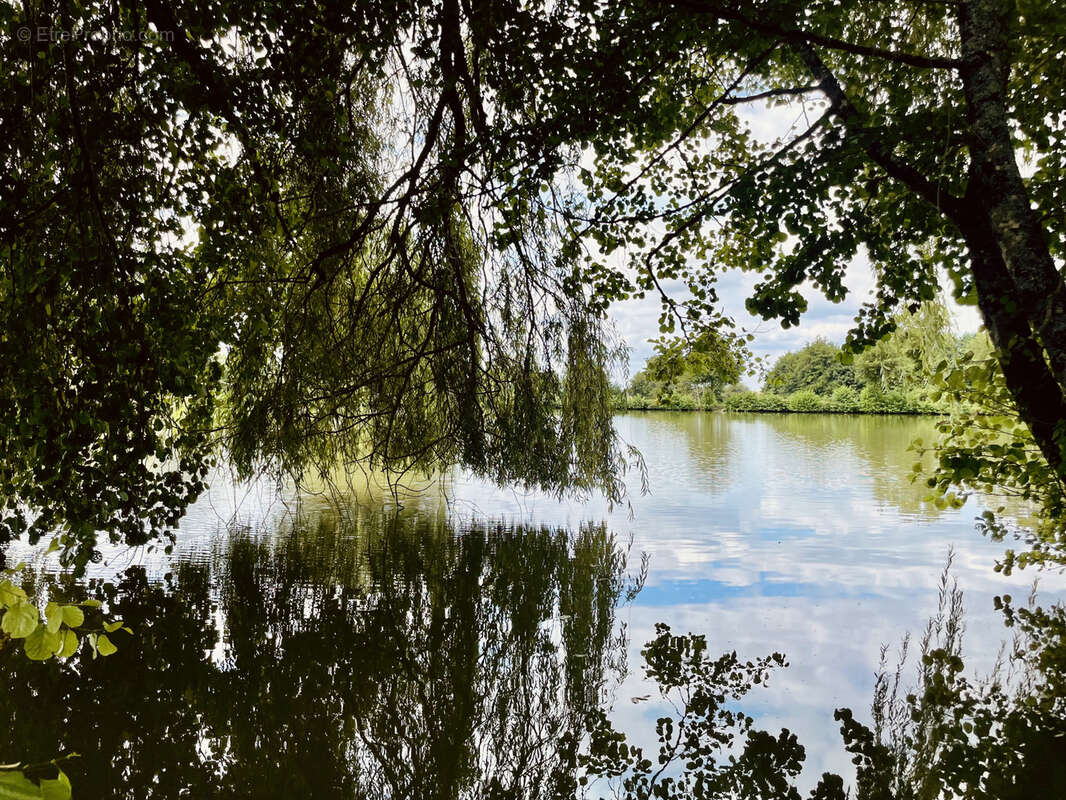 Terrain à SAINT-JUNIEN