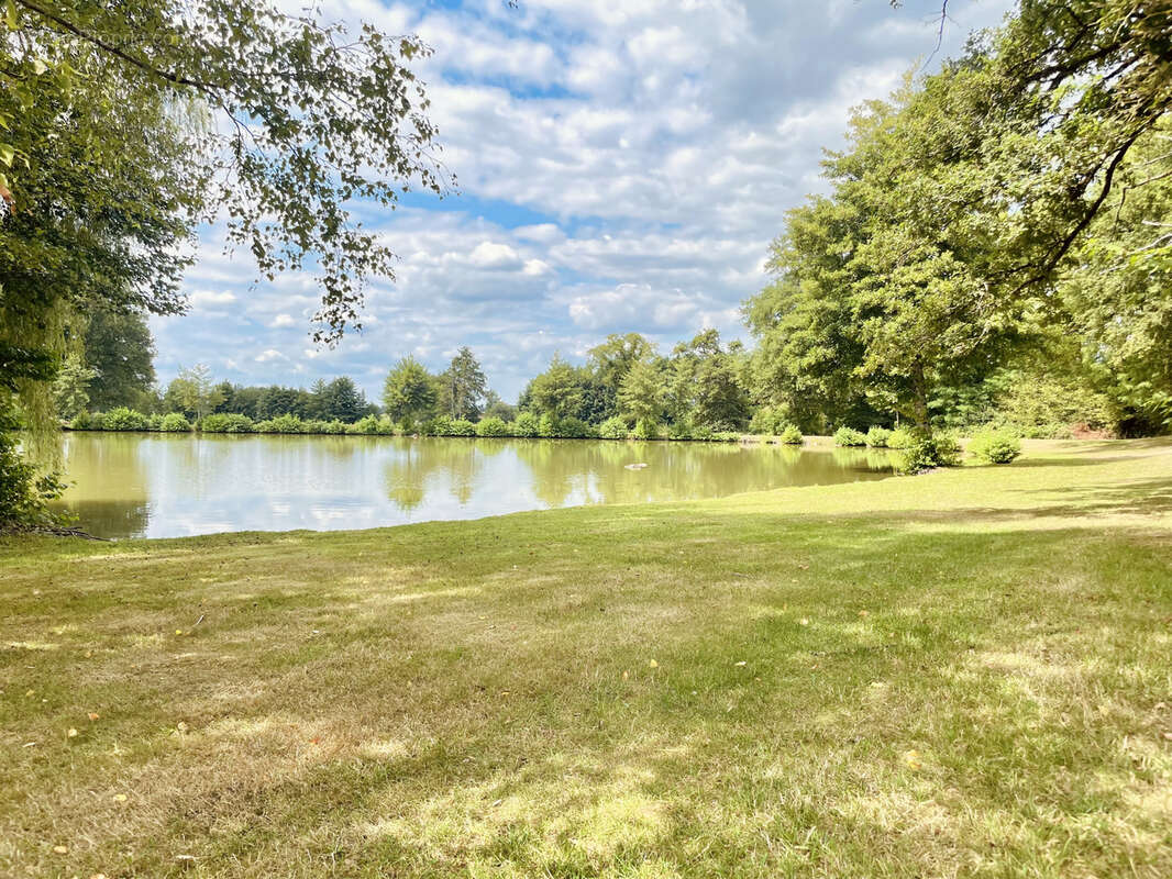 Terrain à SAINT-JUNIEN
