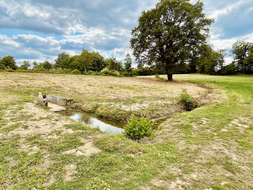Terrain à SAINT-JUNIEN