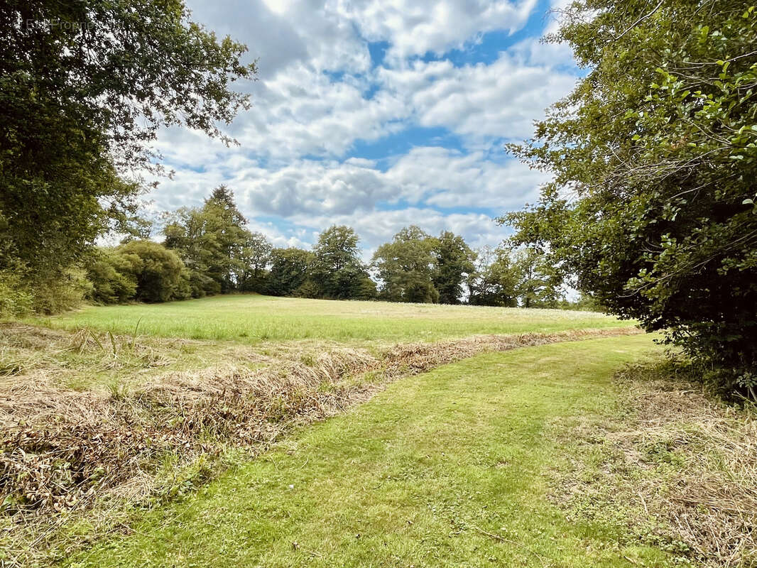 Terrain à SAINT-JUNIEN