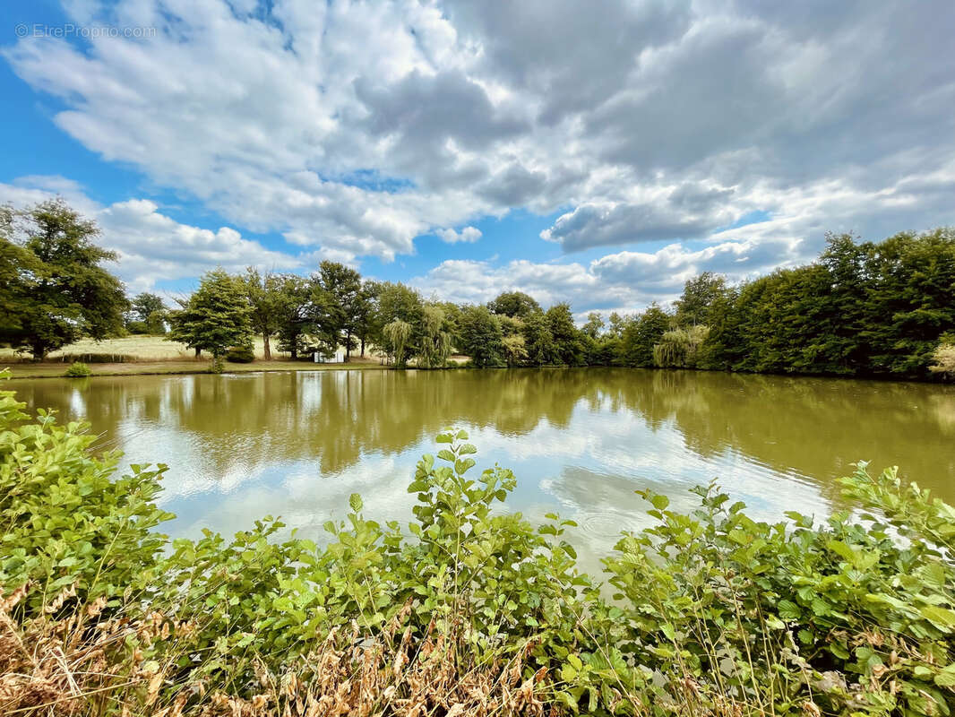 Terrain à SAINT-JUNIEN