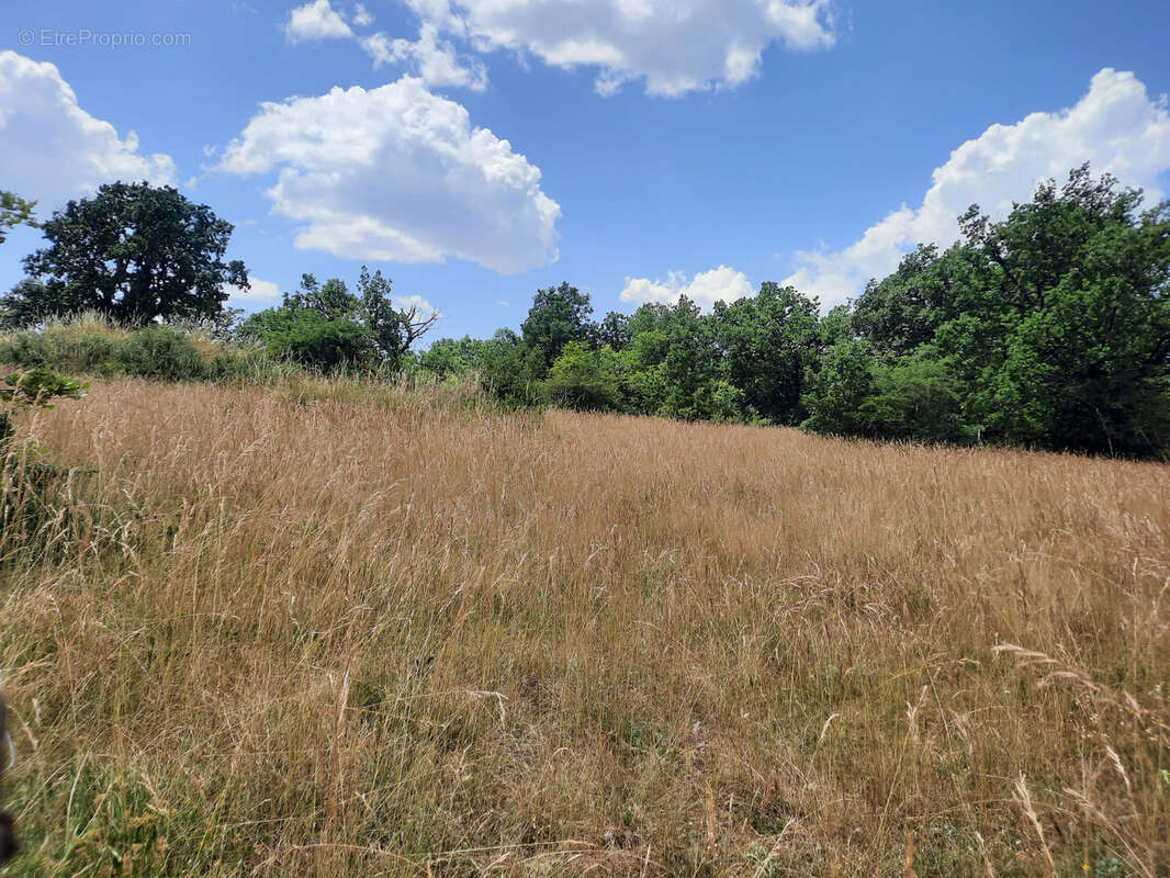 Terrain à LA CAVALERIE