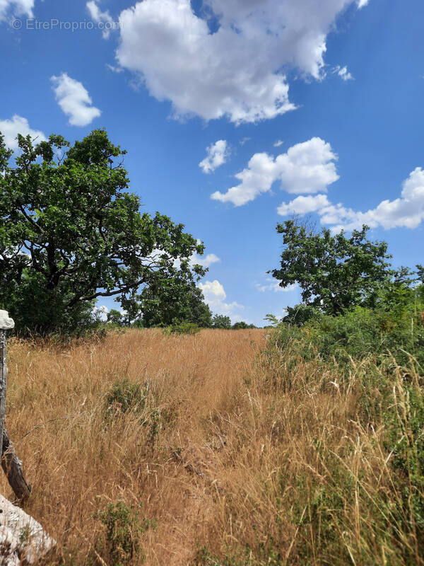 Terrain à LA CAVALERIE