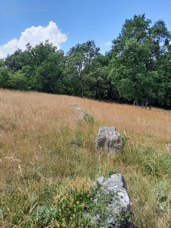 Terrain à LA CAVALERIE