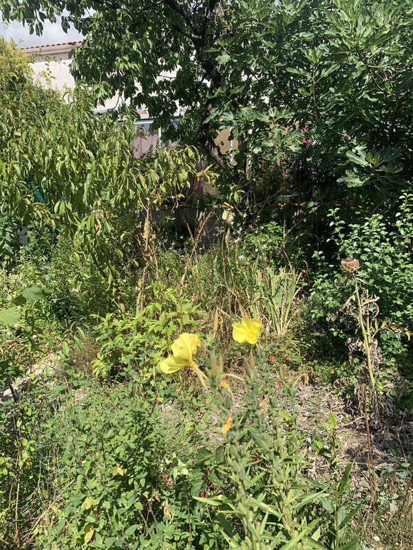 Maison à SAINT-JEAN-D'ANGELY