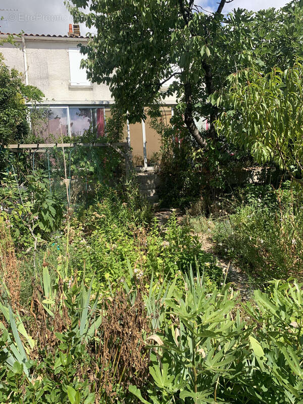 Maison à SAINT-JEAN-D'ANGELY