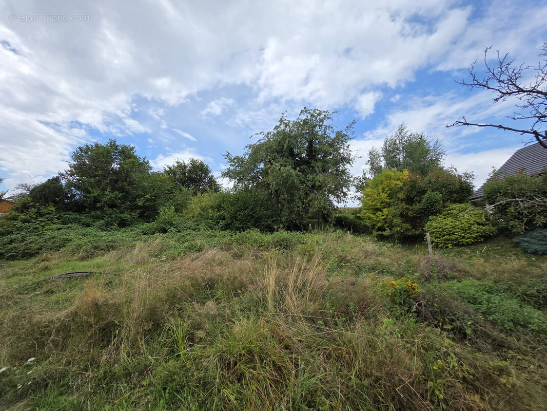Terrain à HEIMERSDORF