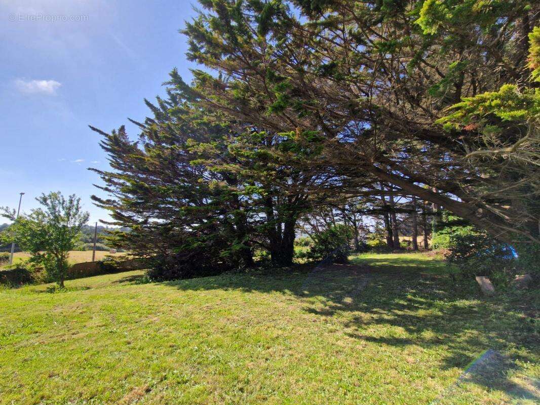 Maison à PLESTIN-LES-GREVES