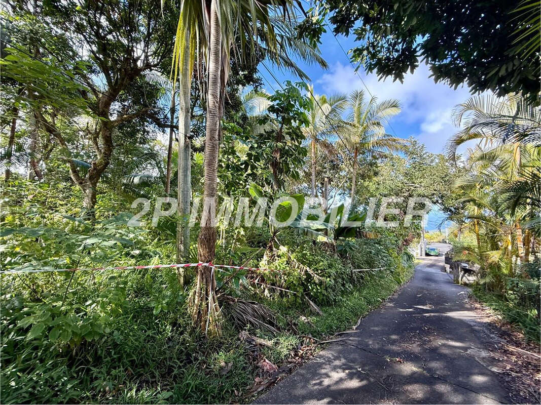 Terrain à SAINT-JOSEPH