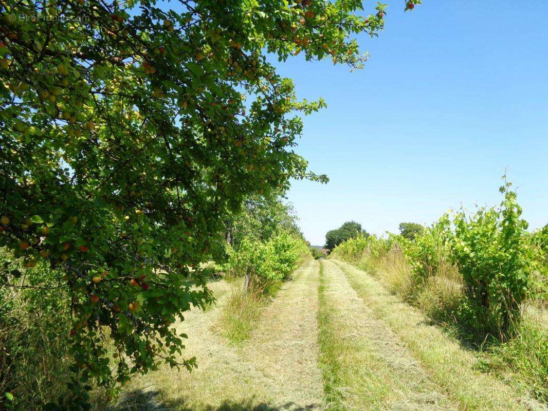 Maison à SAINT-SEVERIN