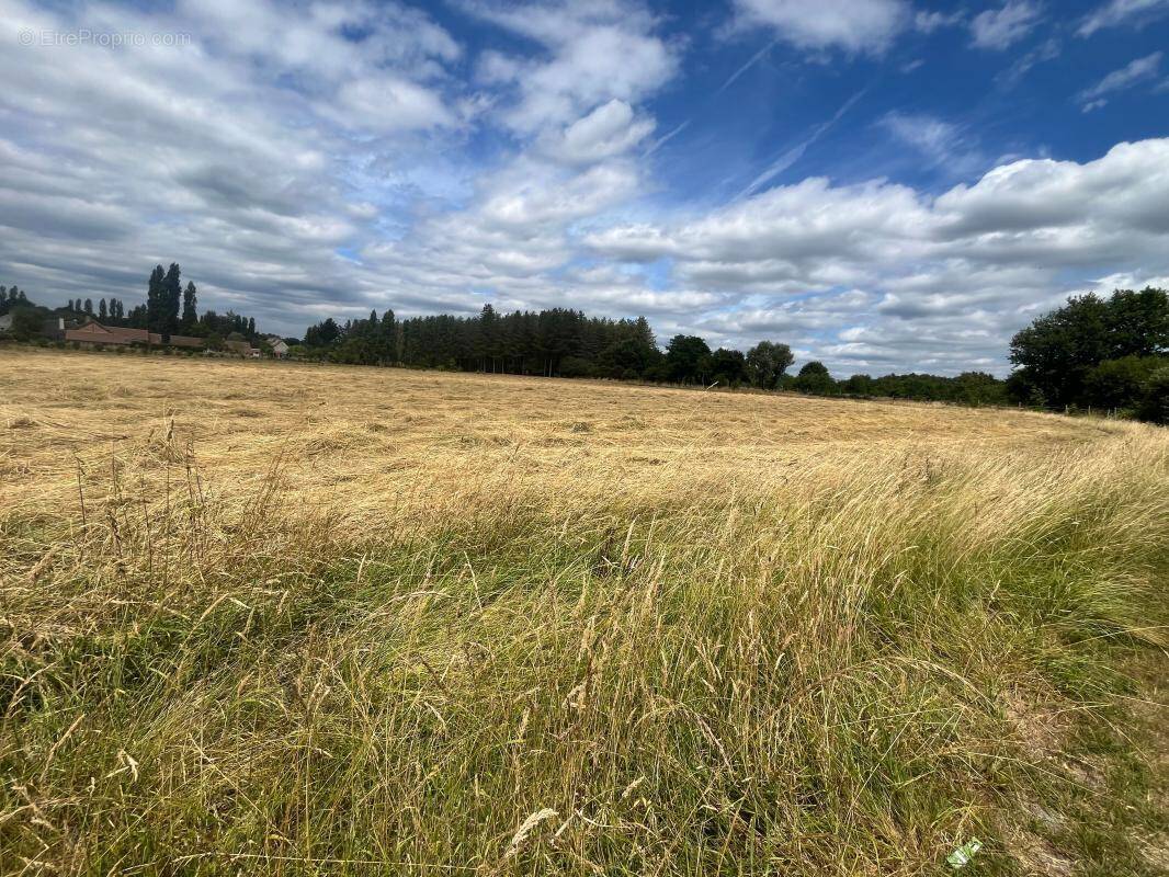 Terrain à MARCILLY-EN-GAULT