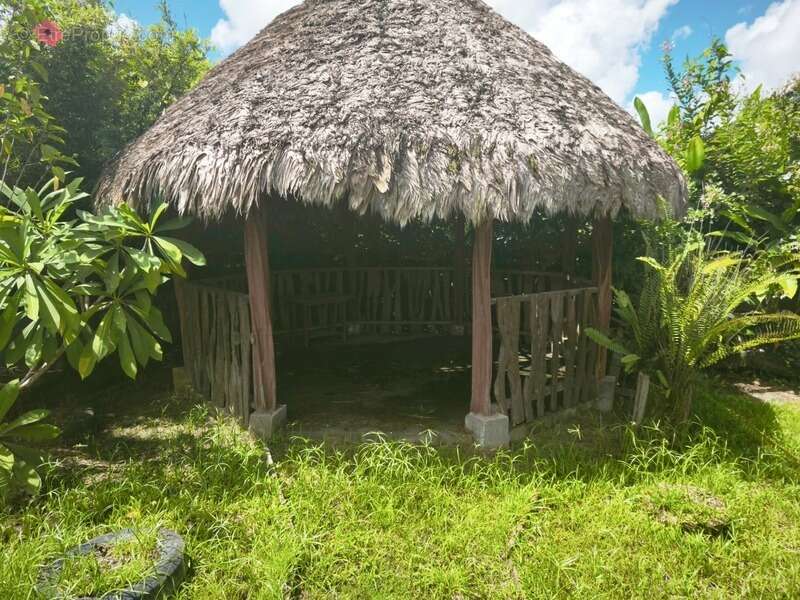 Maison à SAINT-LAURENT-DU-MARONI