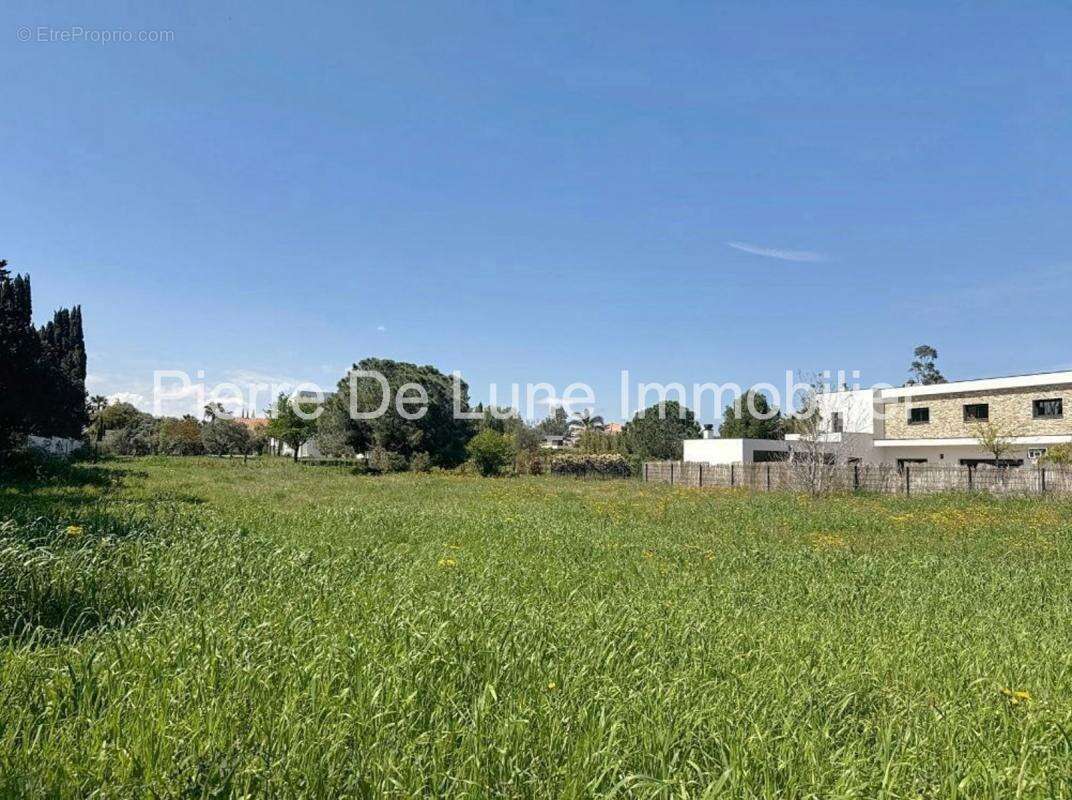 Terrain à PERPIGNAN
