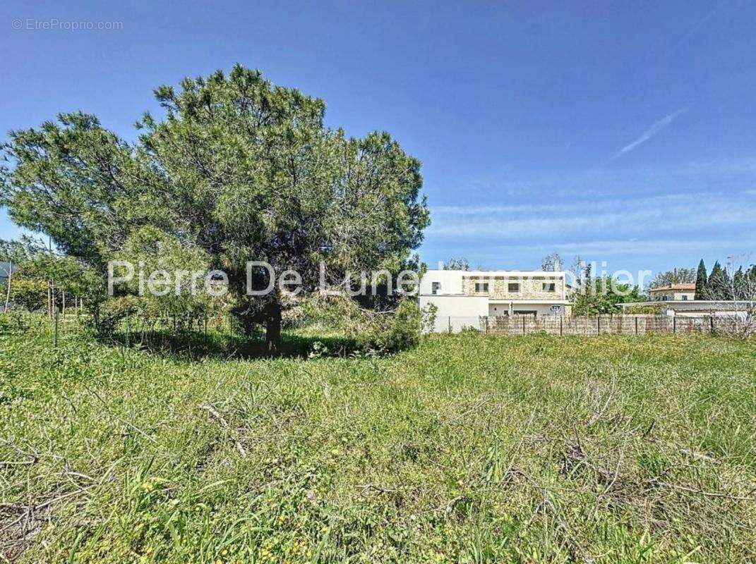 Terrain à PERPIGNAN