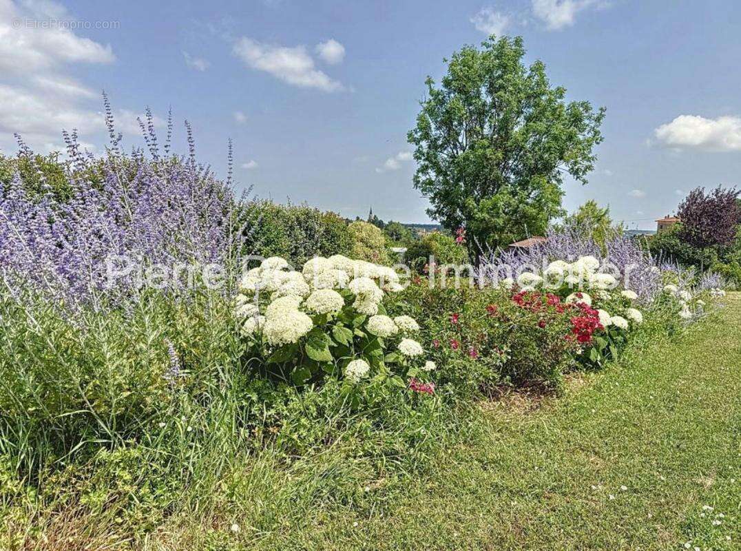 Maison à SAINT-GERMAIN-SUR-L&#039;ARBRESLE