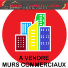 Commerce à SAINT-CYPRIEN