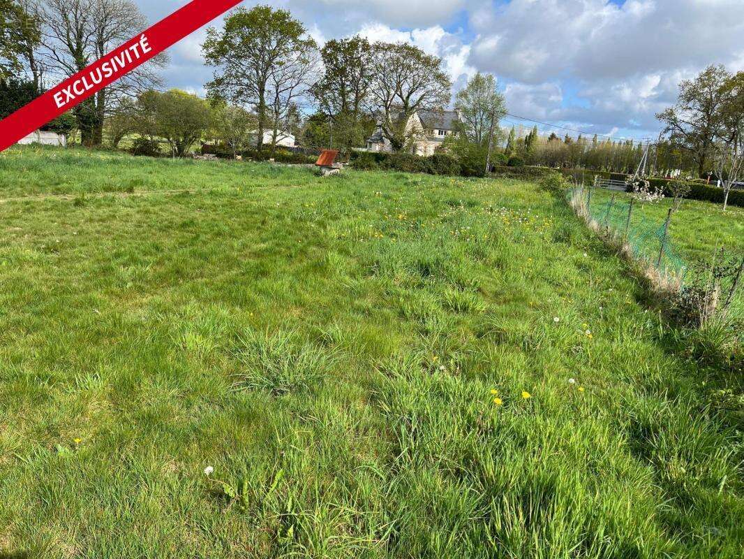 Terrain à LANGONNET