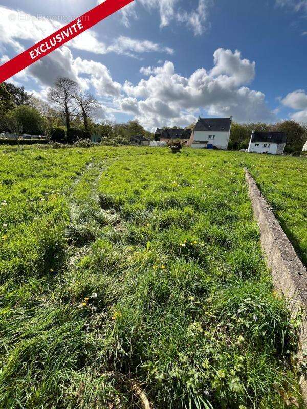 Terrain à LANGONNET