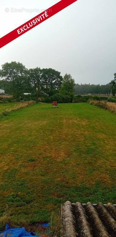 Terrain à LANGONNET