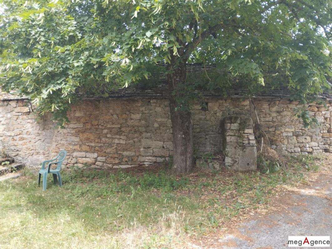 Maison à MAS-SAINT-CHELY