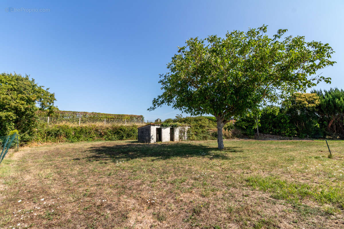 Maison à LES NOUILLERS