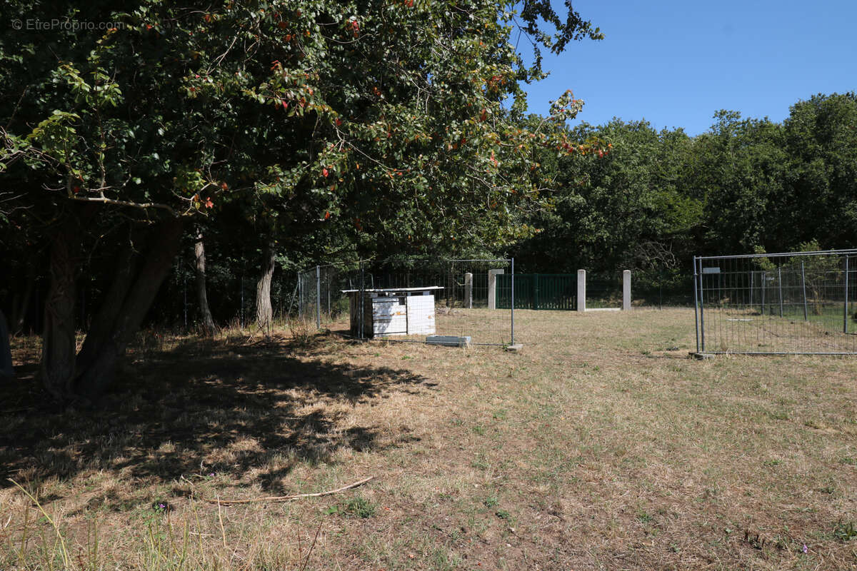 Terrain à SAINT-JUST-LUZAC