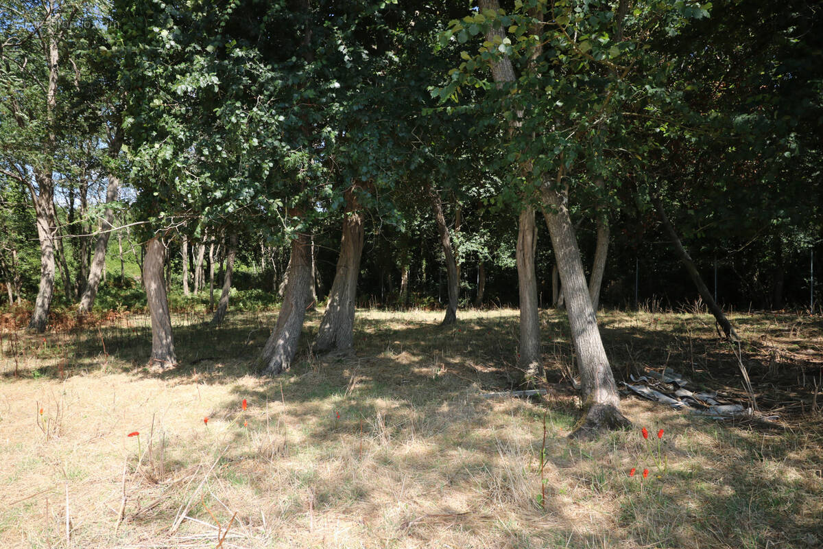 Terrain à SAINT-JUST-LUZAC