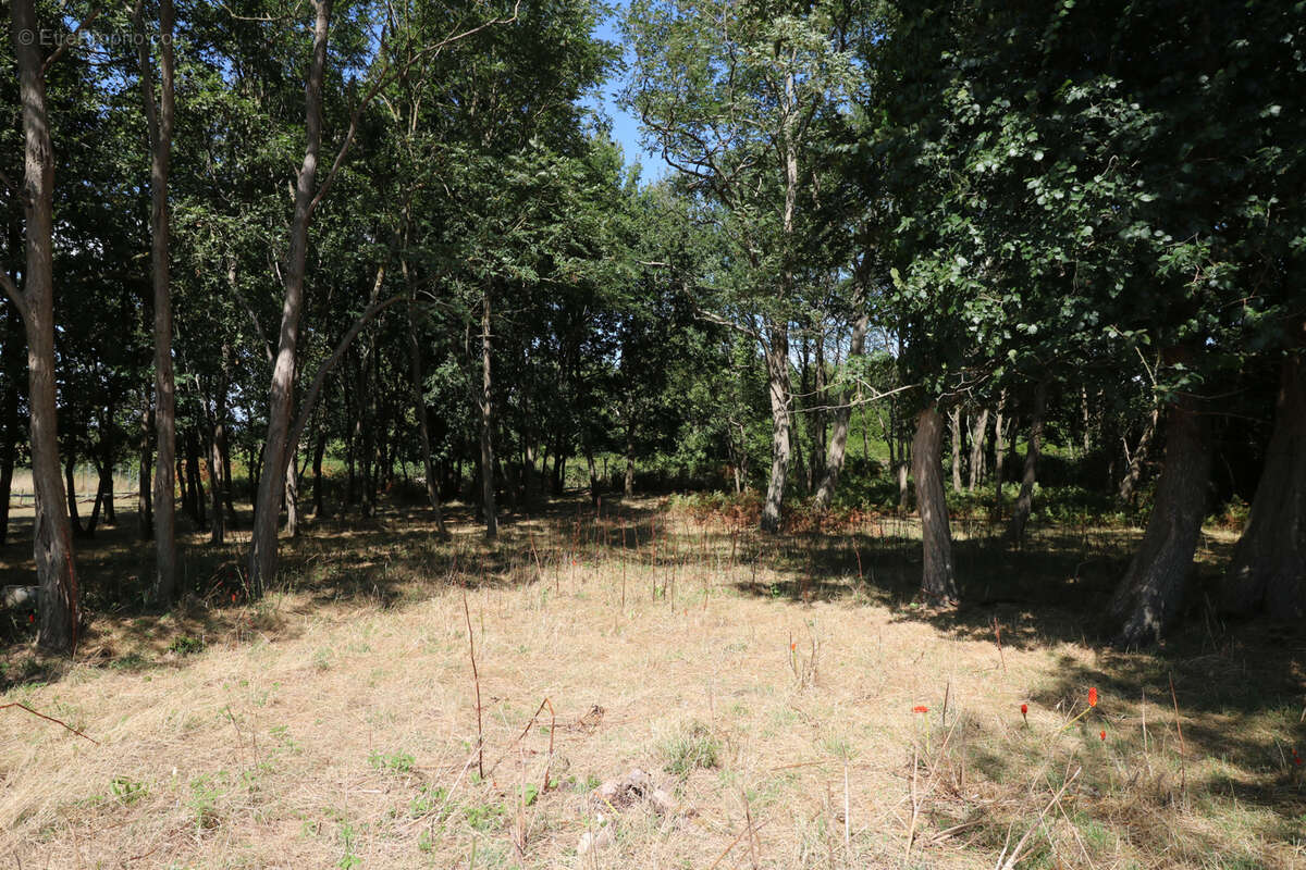 Terrain à SAINT-JUST-LUZAC