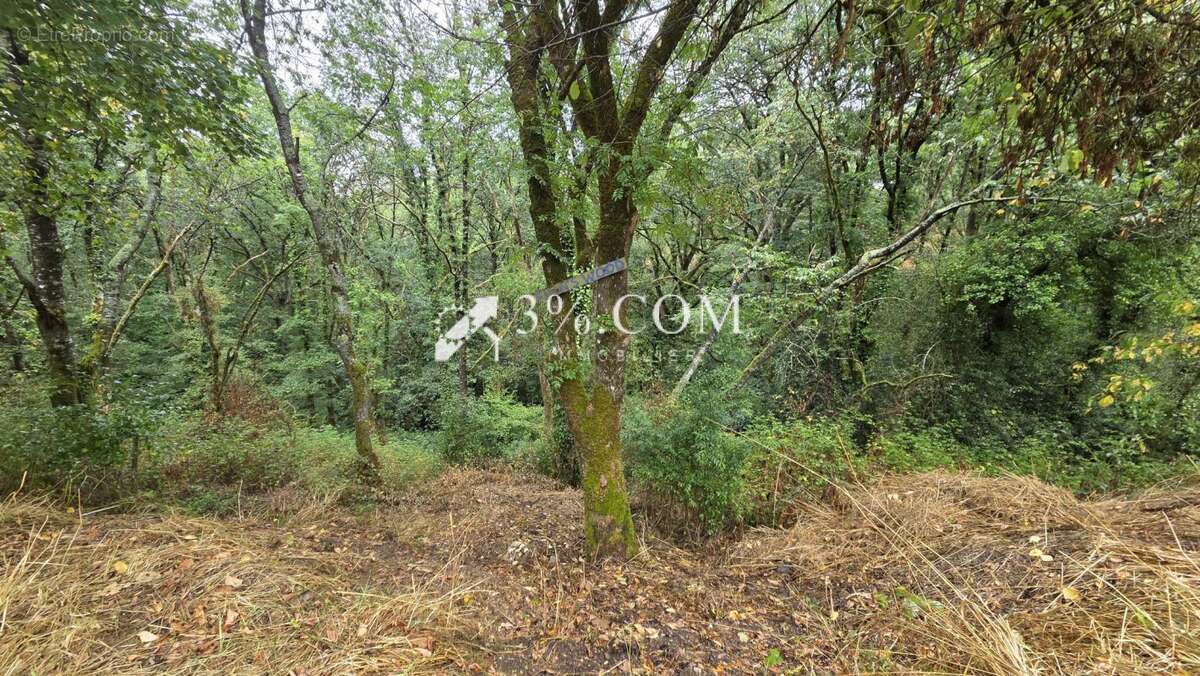 Maison à SAINT-GRAVE