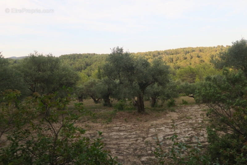 Terrain à SOLLIES-TOUCAS